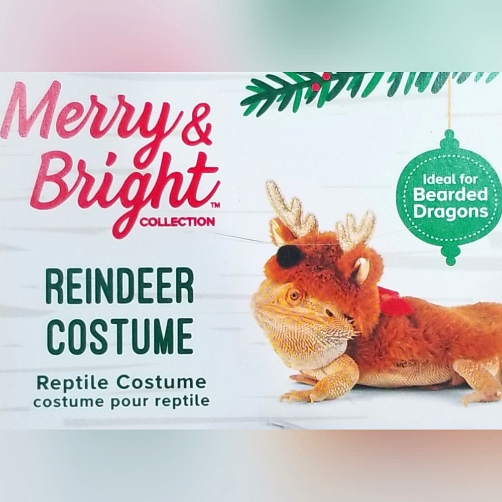 Bearded Dragon Reindeer costume
